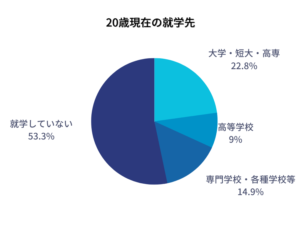 20歳時点の就学先のグラフ