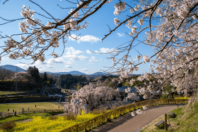 福島県