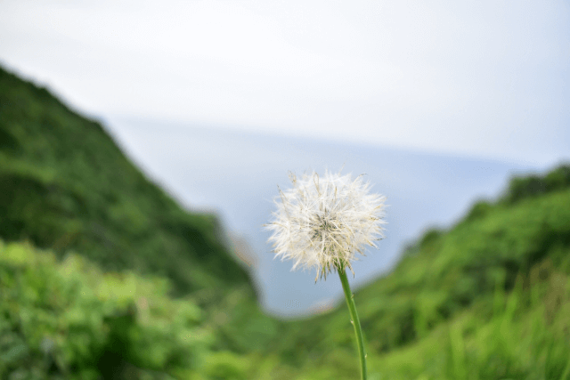 島根県