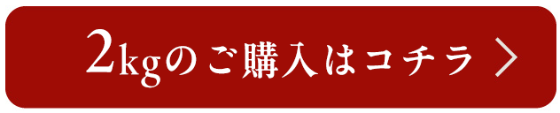 ボタン2